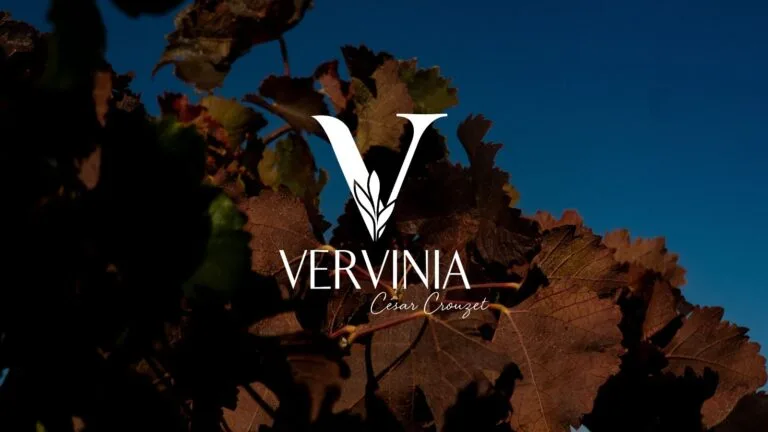 4-Image-Galerie-Vervinia